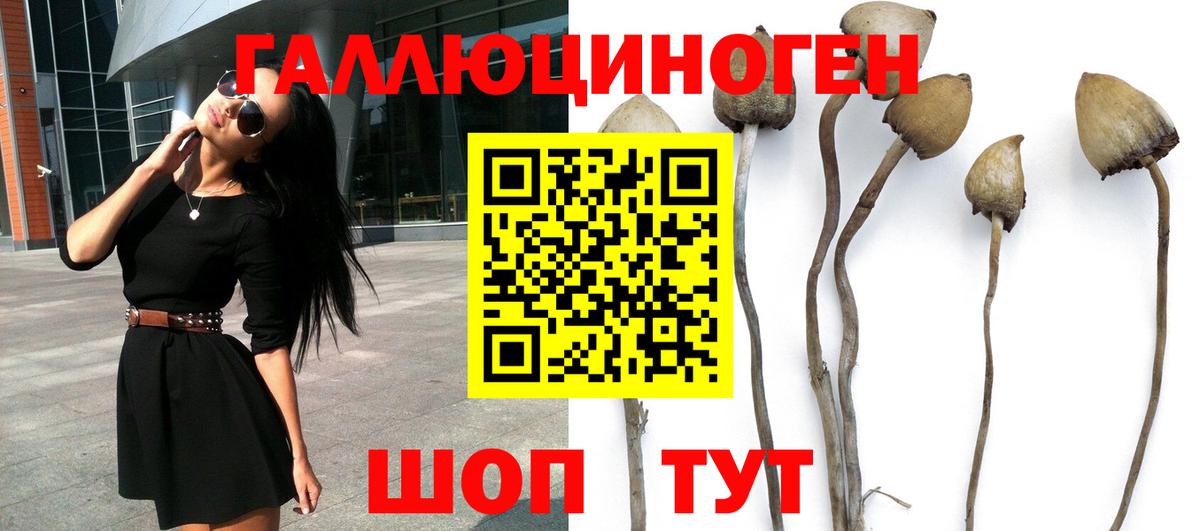 Борисоглебск  Псилоцибиновые грибы мухоморы  наркотики  Вход с VPN  Псилоцибиновые грибы прущие грибы 